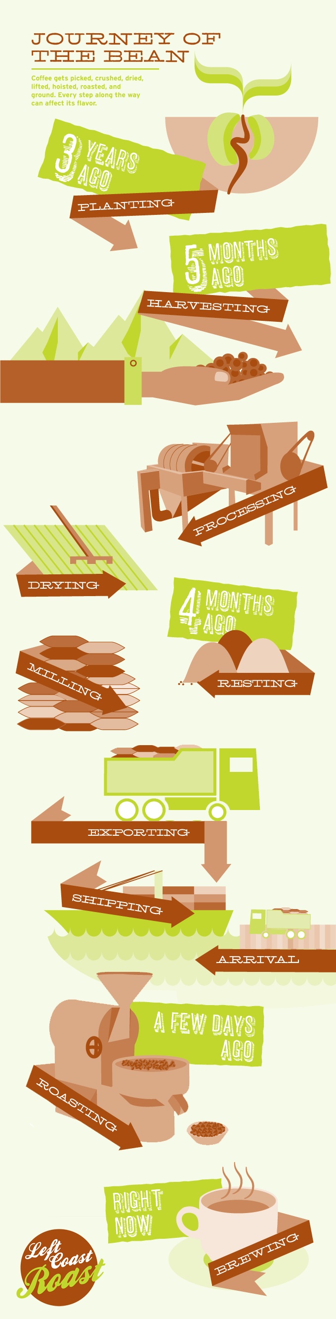 The journey of the bean